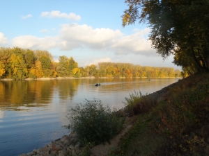 Rhein bei Mainz 2015