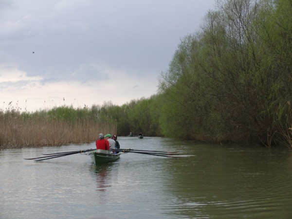 Abzweig vom Kanal Lipovenilor nach Dunavatu DD10