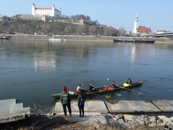 Bratislava Ruderer am Steg Donau 16