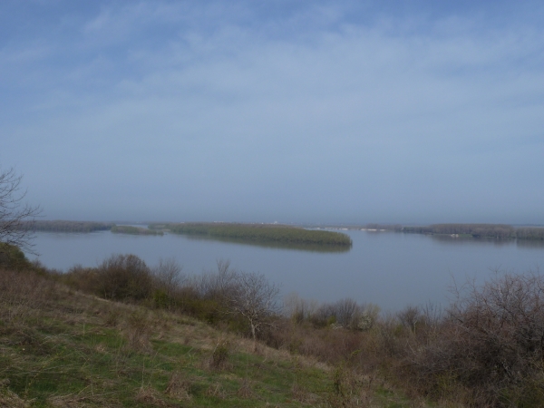 Donau bei Dunavets 2013