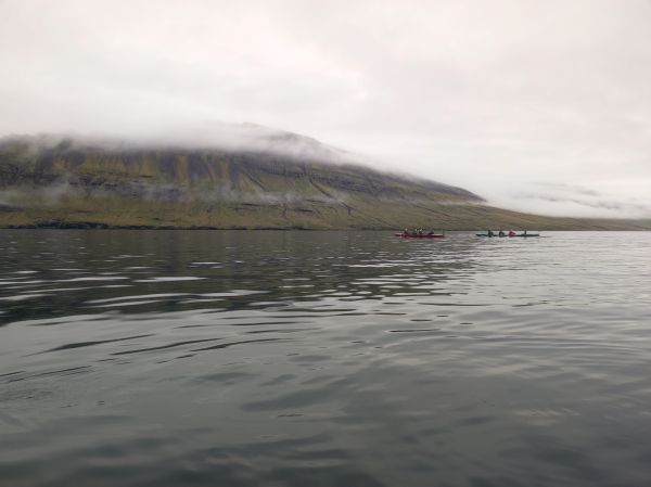 Island Nordfjord Neskaupstadur Inrigger Ruderboote 2022