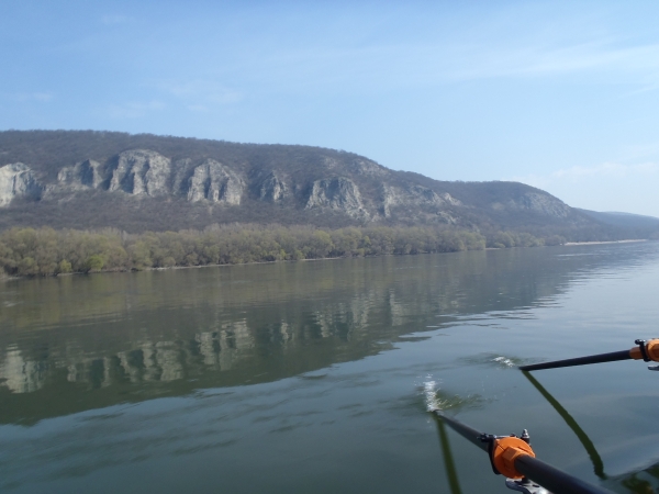 Karpatenauslaeufer Donau 2016
