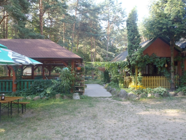 Quartier mitten im Wald bei Pultusk 2015