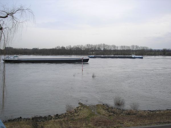 Rhein bei Rees RH08
