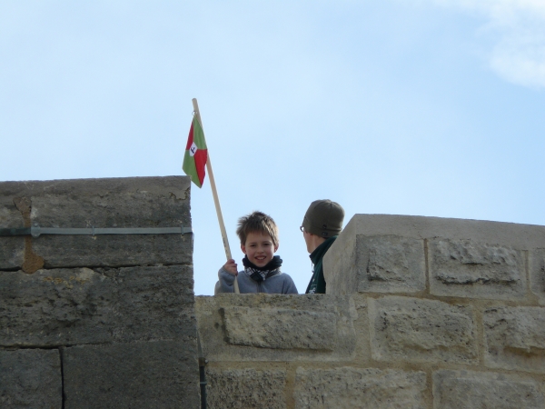 Robin auf dem Wachturm Camargue 2012