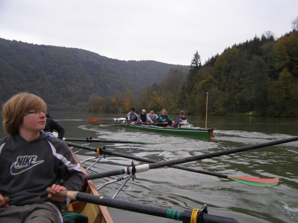 Ruderboote im Donaudurchbruch hinter Passau D09