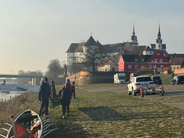 Ruderer in Torgau Elbemarathon 2024