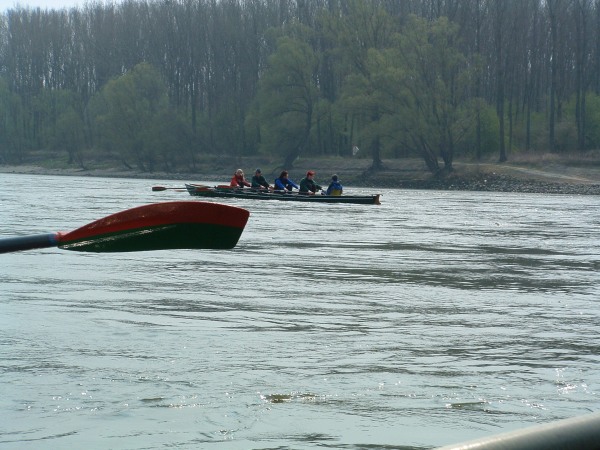 Rudervierer auf der Donau DWM07