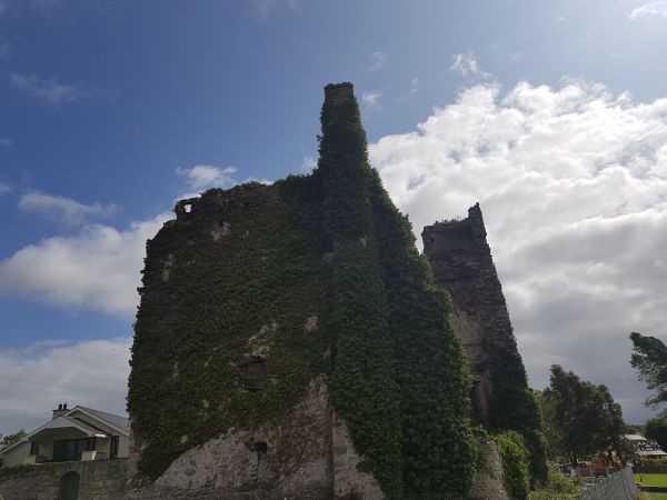 Ruine Drommineer Irland 2019