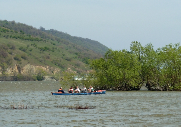 Vierer in Wellen Donau 2012