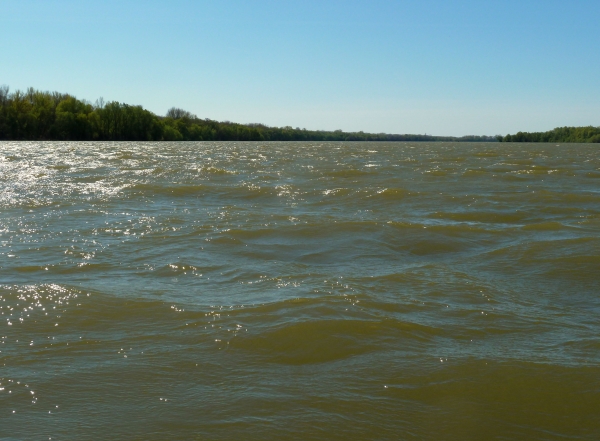 Wind auf der Donau 12