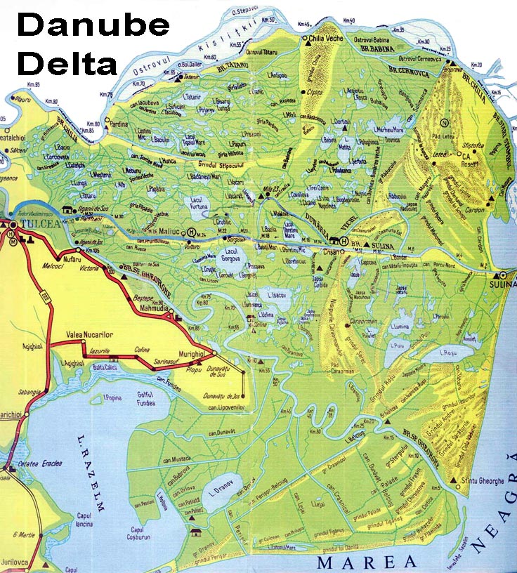 deltakarte