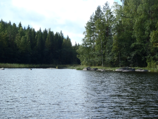 engstelle im kolovesi nationalpark finnland 2016