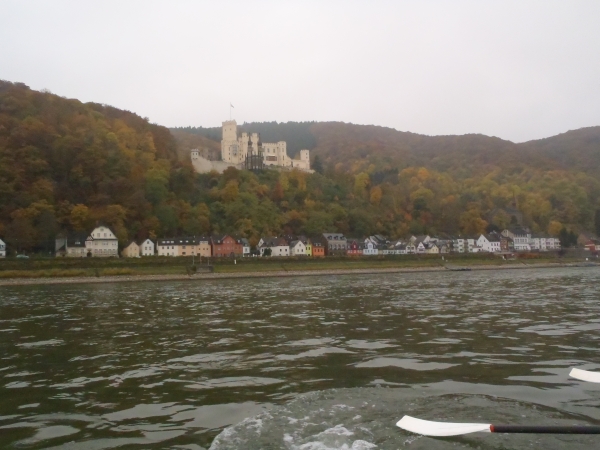 wieder eine Burg im Rheintal 2015