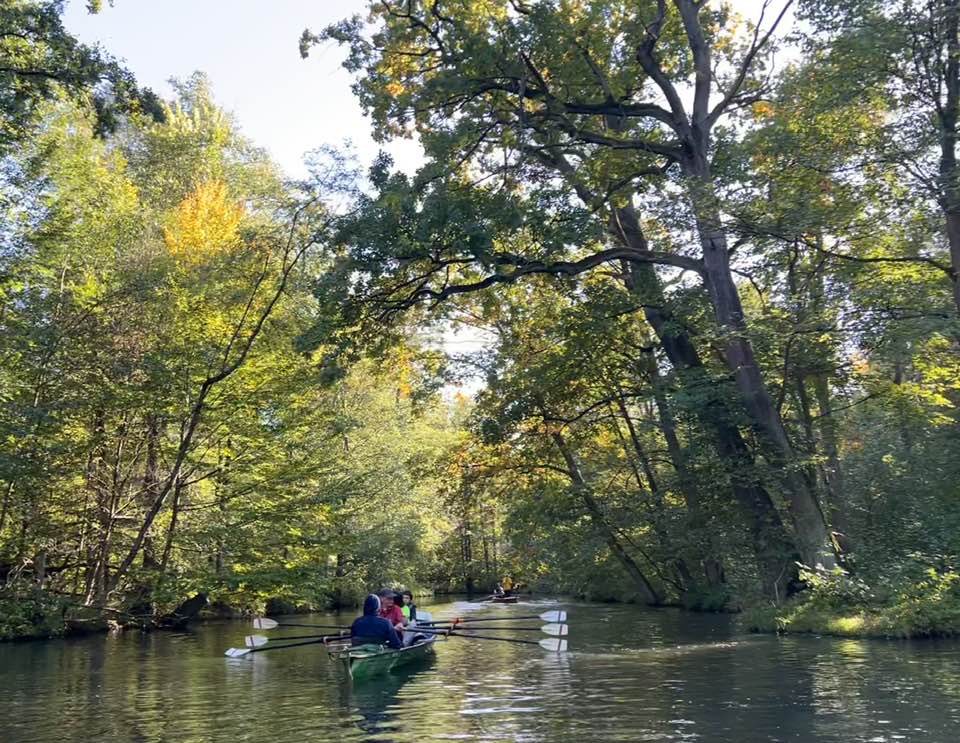 Ruderboot im Spreewald