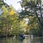 Ruderboot im Spreewald