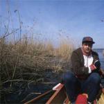 schilfdurchfahrt Ruderboot