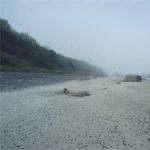 pyramide schiffbrüchigenzeichen riemen ruderer