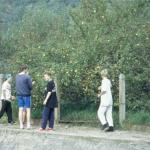 Äpfel lauen an der Schleuse