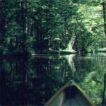 im spreewald mit ruderboot