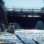 sprudelnde Schleuse Ruderer