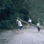 am strand der müritz ruderer