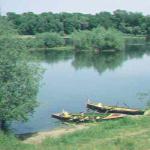 Ruderboote an der Oder