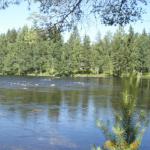 Saimaa stromschnelle Finnland