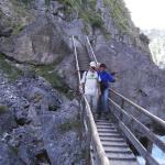 Silberkarklamm