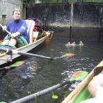 Spreewald schleuse katrin enten