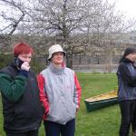 Ruderer bei Donauhort DWM07