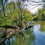 rajka mossoni donau DWM07