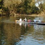 Ruderboot auf dem Neckar NR07