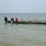 Rudervierer am Strand der Ostsee P07