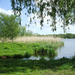 Stilleben am Peeneufer P07