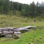 AnkunftPleschnitzalm2