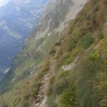 Kleine Wildstelle L08