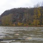 Ruderboot in der Lorelei MDK08