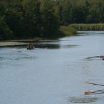 auf dem falschen Flussarm Sw08