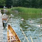 Erfrischendes_Bad_im_Pälitzsee