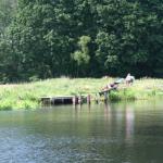 Bootsschleppe Drahendorf DS09