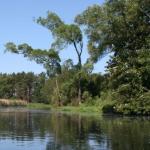 Drahendorfer Spree DS09