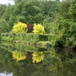 Idylle an der Dahme DS09