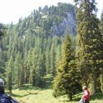 Hochwiesmahd Loipold 09