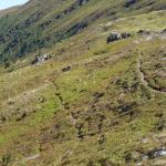 Pleschnitzzinken von der Ochsenkarhoehe Loipold 09