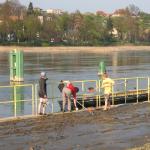 Crossen Rest des Hochwassers O09