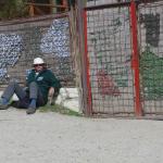 Lui in Dunavatu de Jos DD10