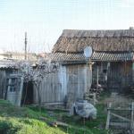 Wohnhaus in Isaccea DD10