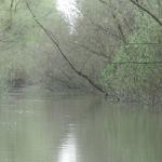 ruderbare Strecke im Donaudelta DD10