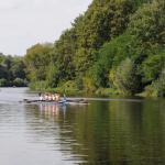 Ruderboote beim Drachenbootcup 2010